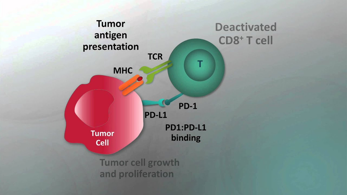 How To Better Predict Cancer Immunotherapy Results